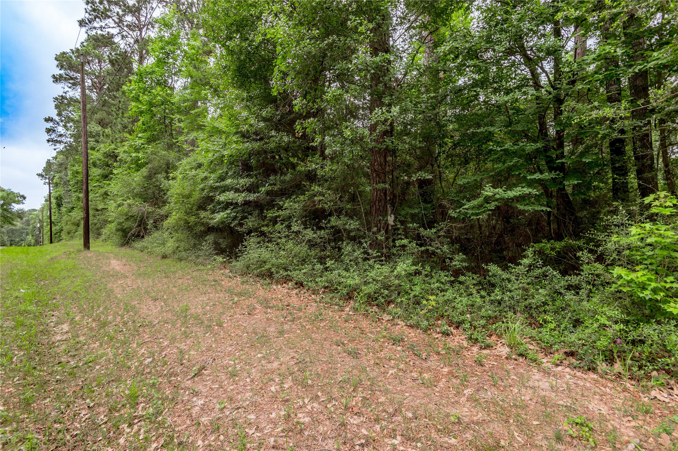 Lot 08 Oak Drive Trinity, TX 75862 - Photo 11 of 32