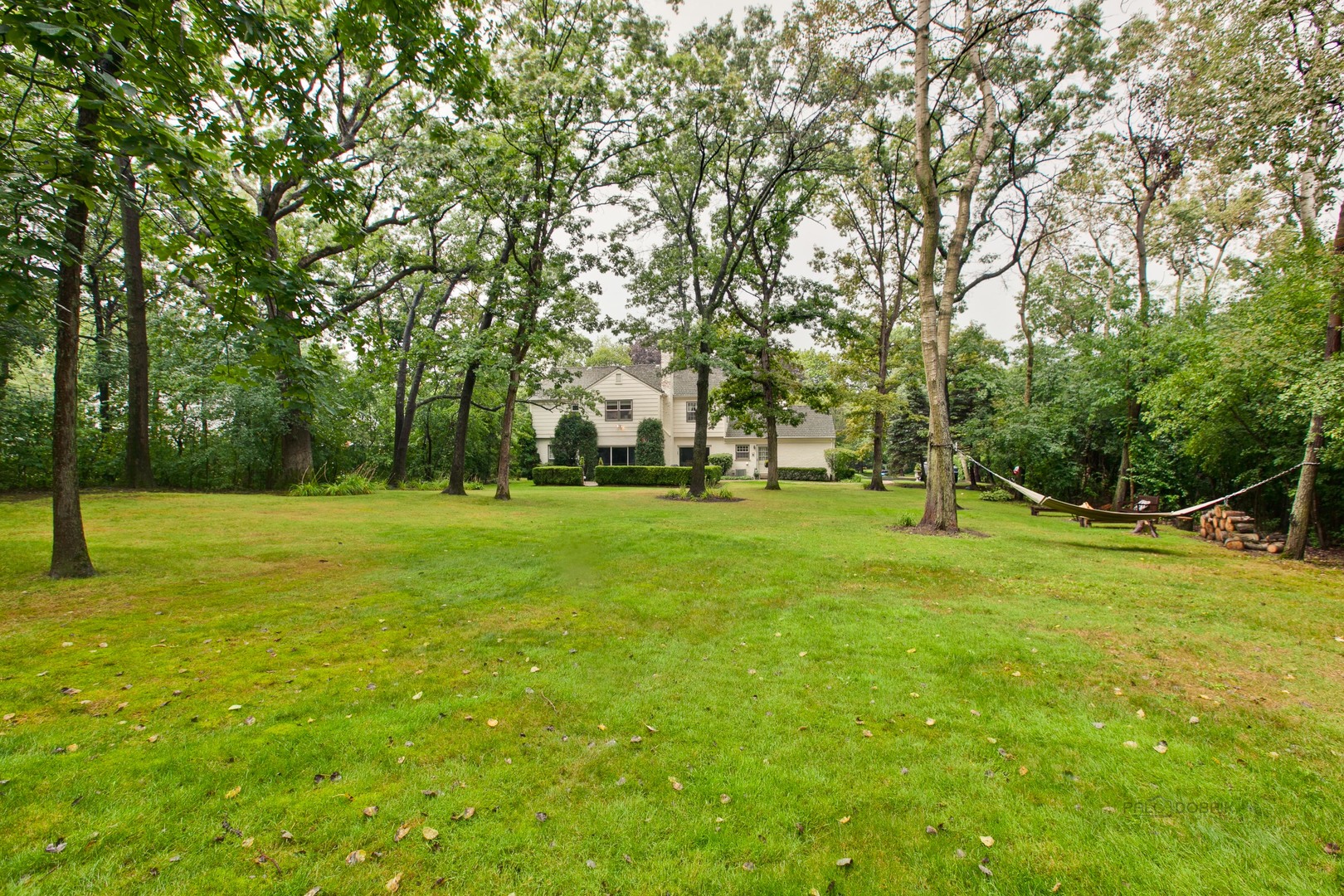 485 Rockefeller Road Lake Forest, IL 60045 - Photo 20 of 21 a view of yard with tree s
