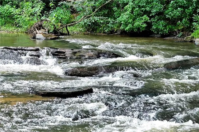 a view of a wooden bench in a backyard