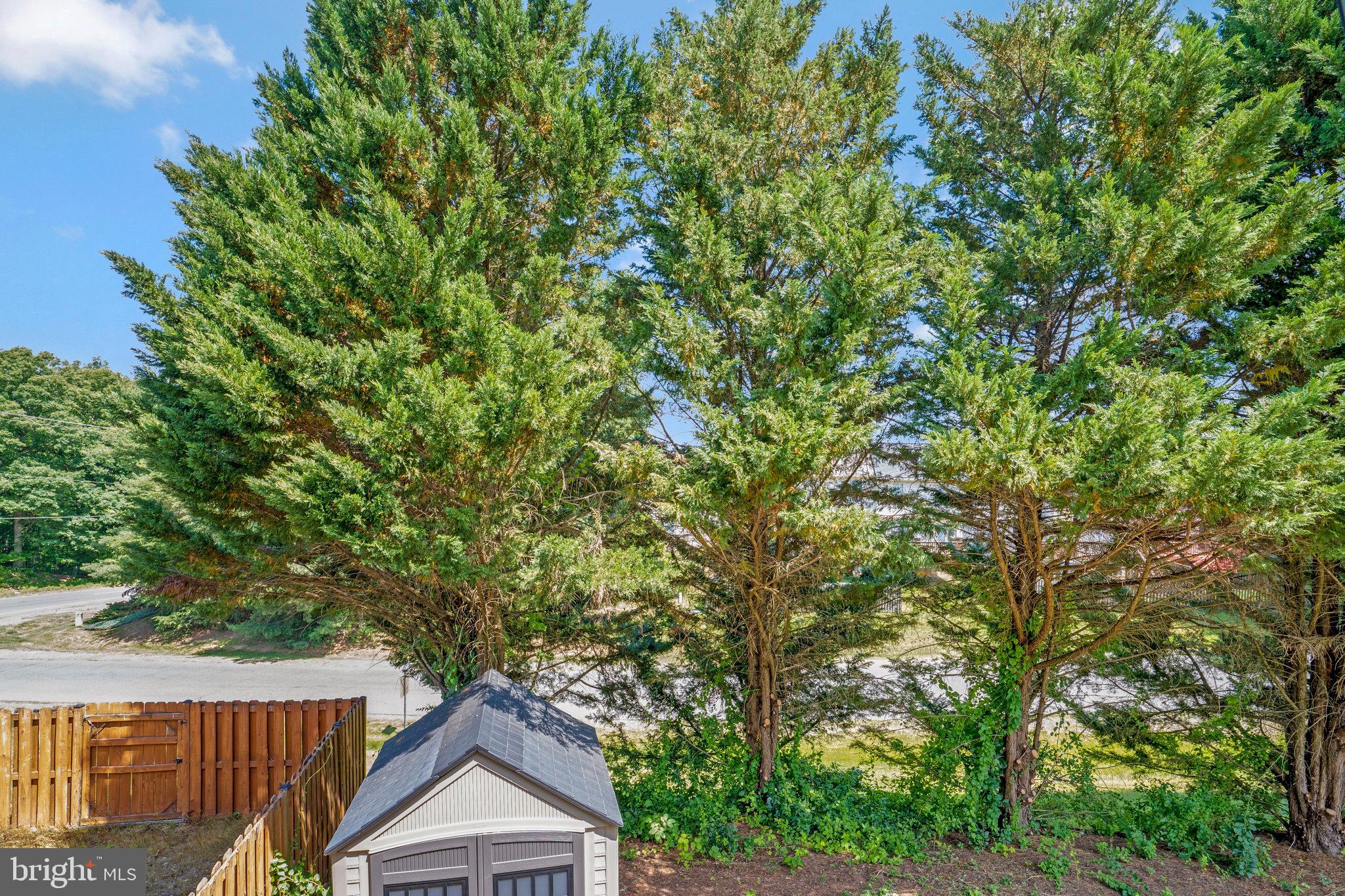 300 Torbert Loop Stafford, VA 22554 - Photo 30 of 31 Tree-Lined Property