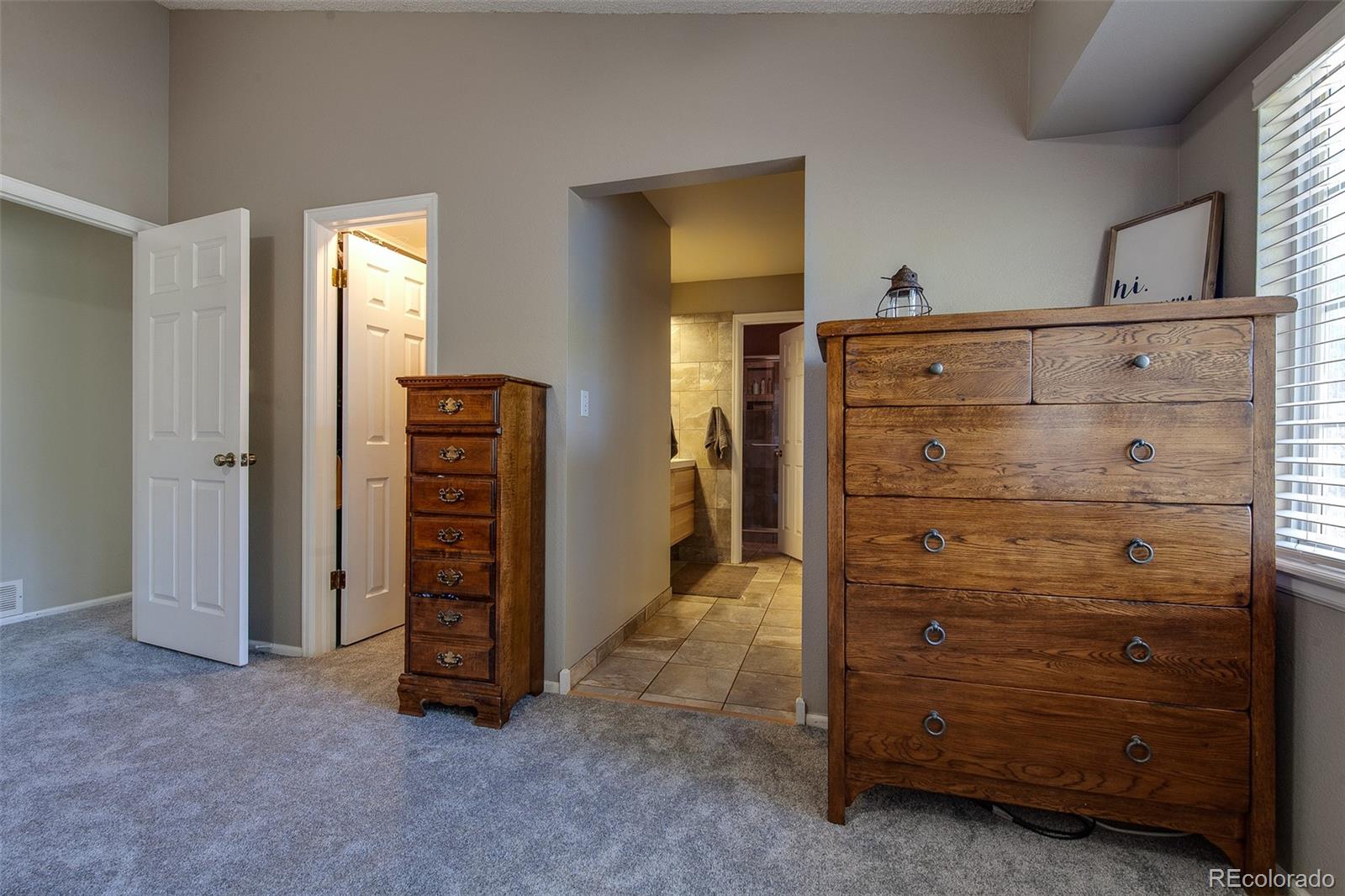 462 Mountain Chickadee Road Highlands Ranch, CO 80126 - Photo 16 of 37 Gallery Image 16