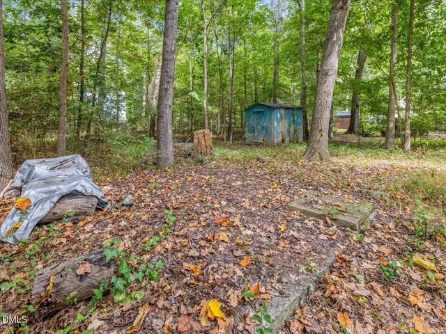 a view of backyard with green space