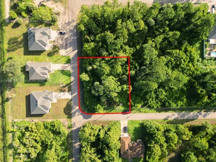 a view of a bunch of flowers