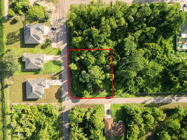 a view of a bunch of flowers