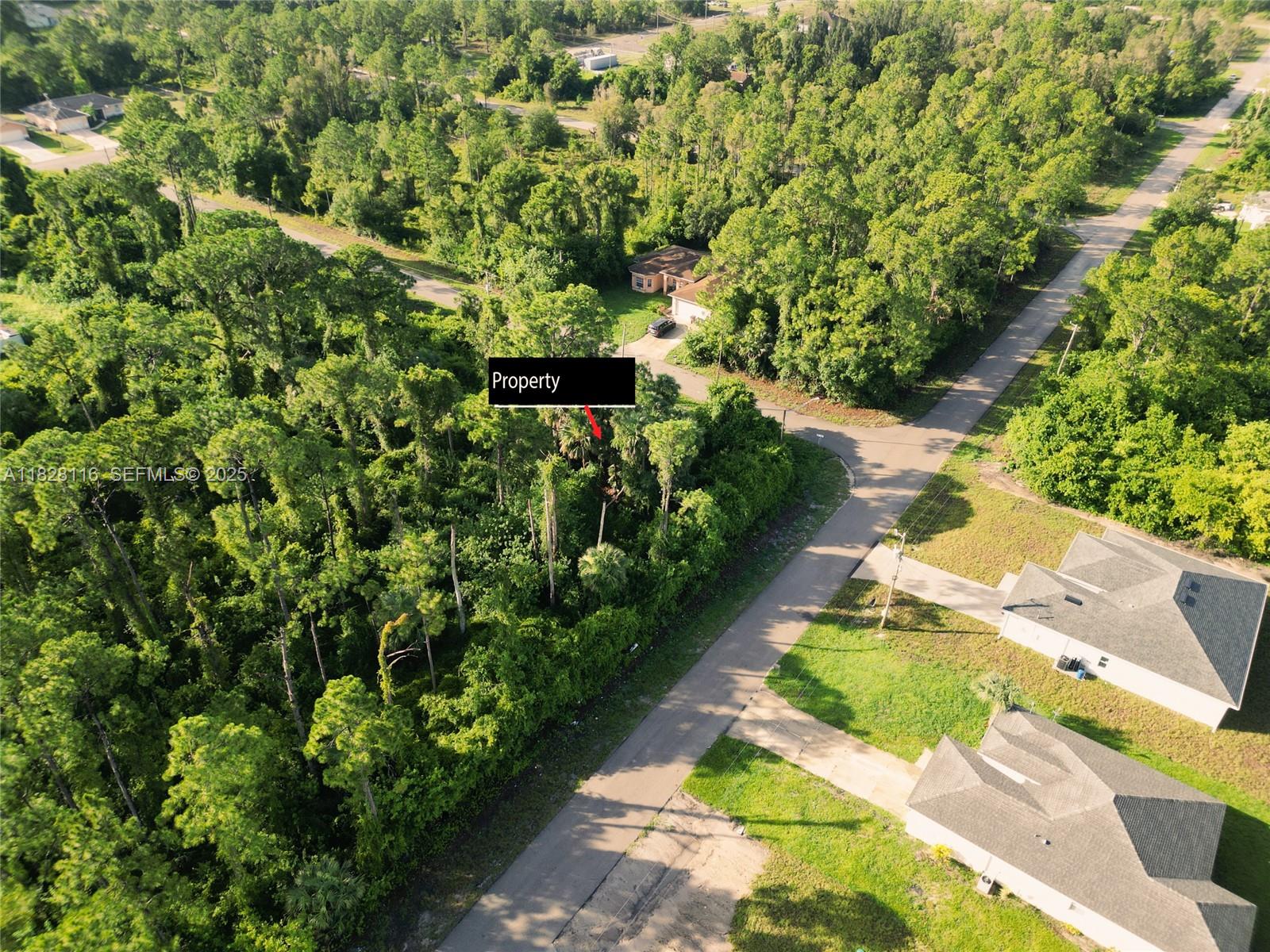 953 Lytle Street East Lehigh Acres, FL 33974 - Photo 5 of 12 a view of a yard with plants