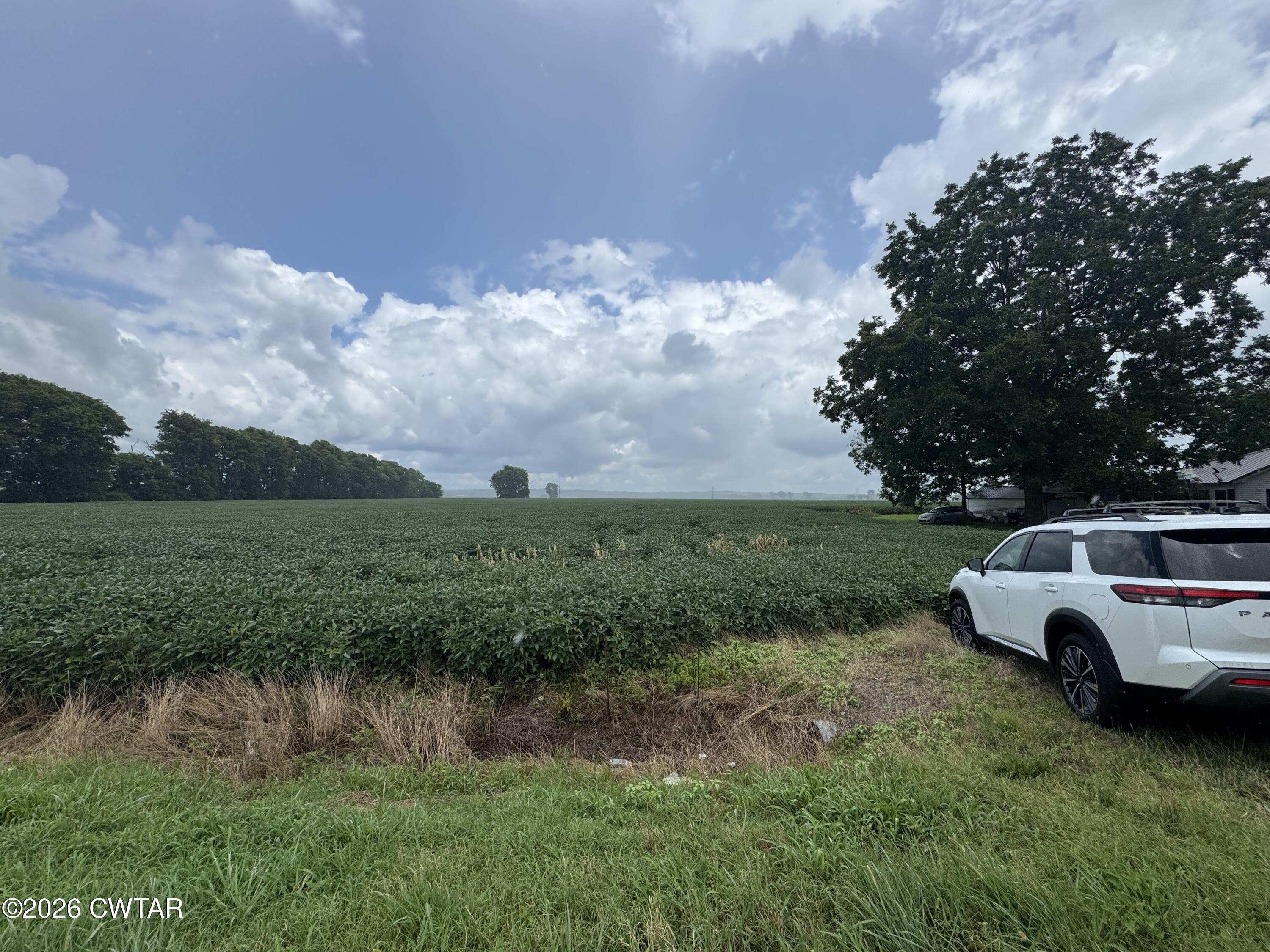 0 Tennessee 78 Ridgely, TN 38080 - Photo 1 of 7 IMG_0896