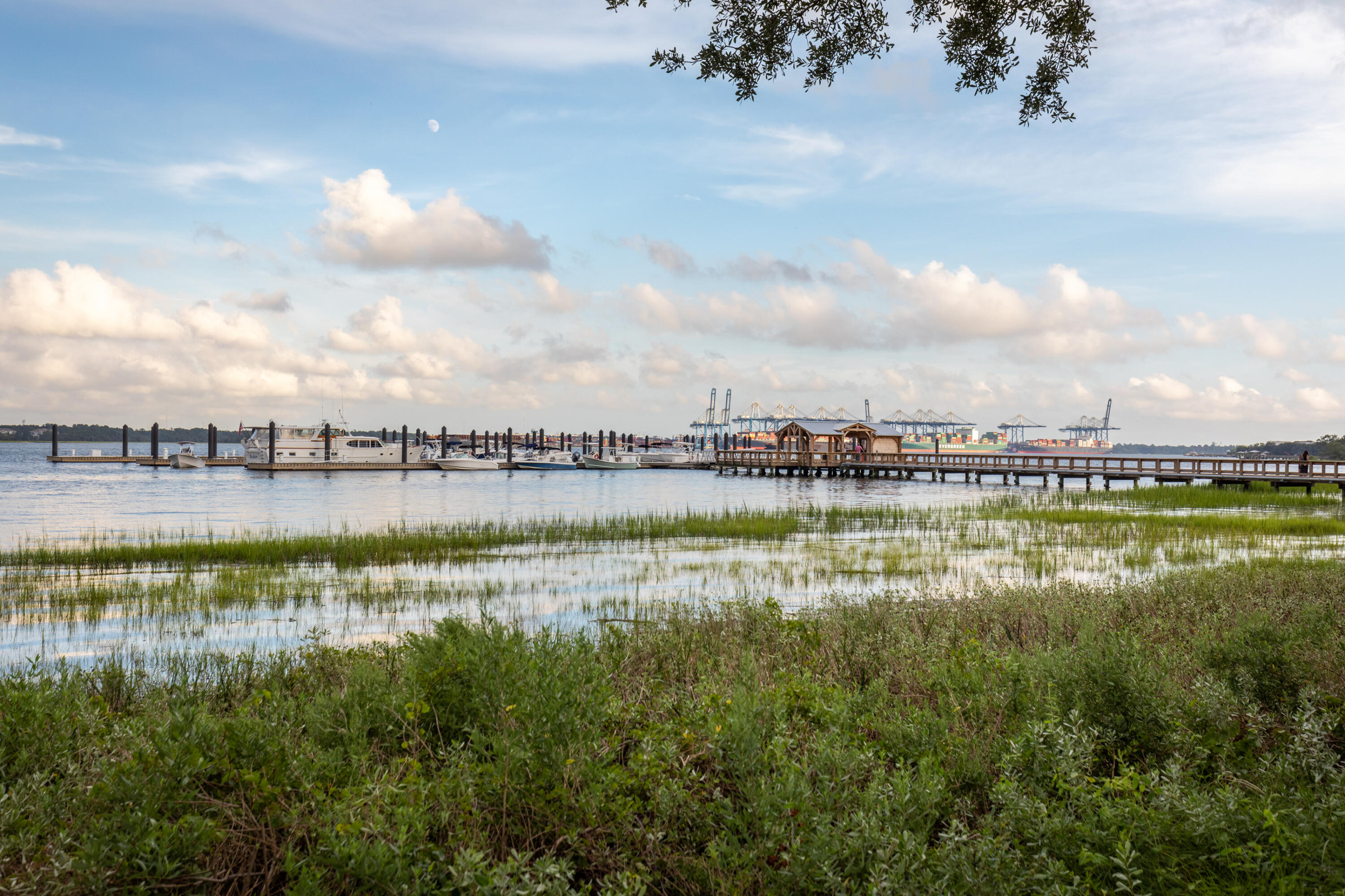 540 Helmsman Street, Unit 1231 Daniel Island, SC 29492 - Photo 12 of 19 DanielIslandWaterfront- KeenEyeMarketing