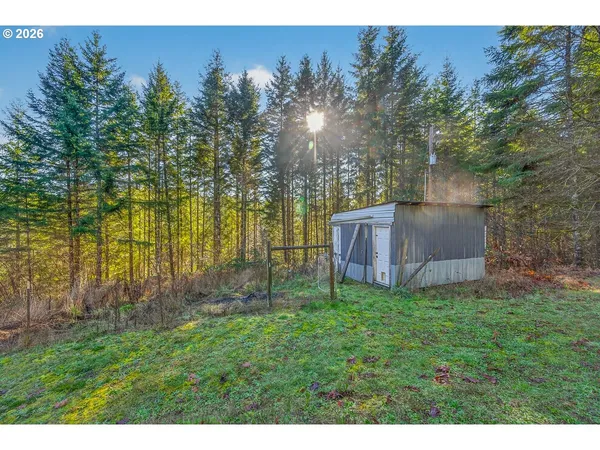 a view of a backyard with a small cabin