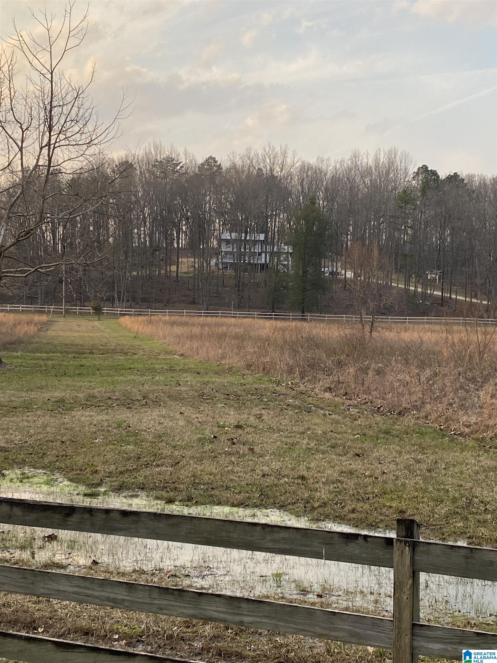 Bridlewood Farms Road, Unit 2 Montevallo, AL 35115 - Photo 22 of 25
