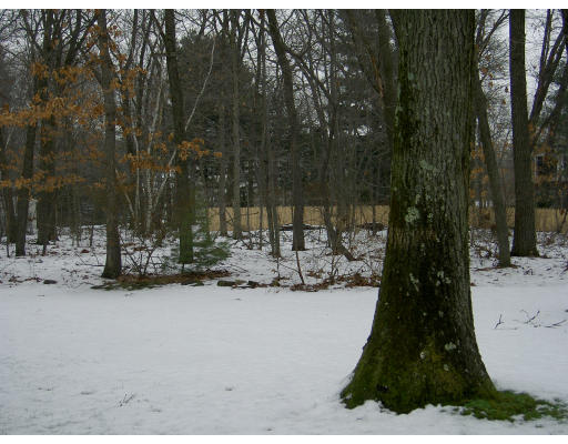 803 Frank Smith Road Longmeadow, MA 01106 - Photo 8 of 8 Gallery Image 8