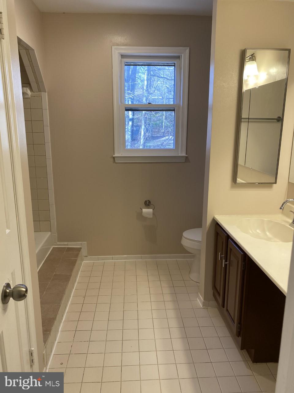 13600 Castle Cliff Way Silver Spring, MD 20904 - Photo 18 of 32 Master Bath