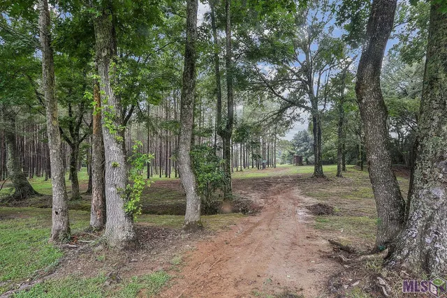 $1,150,000 | 5585 Highway 966, St. Francisville, LA 70775