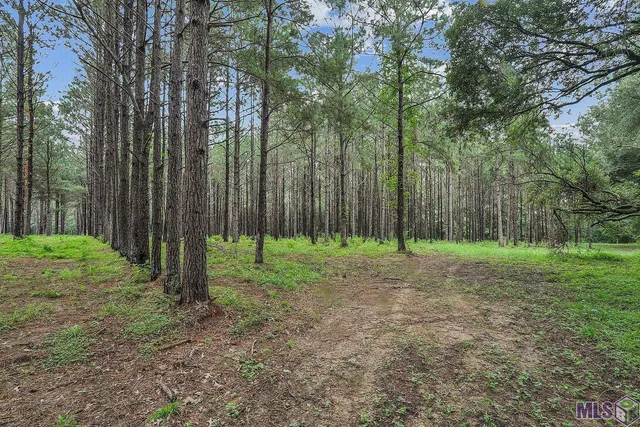 $1,150,000 | 5585 Highway 966, St. Francisville, LA 70775