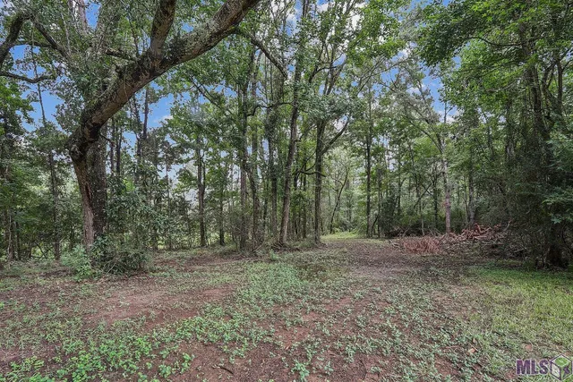 $1,150,000 | 5585 Highway 966, St. Francisville, LA 70775