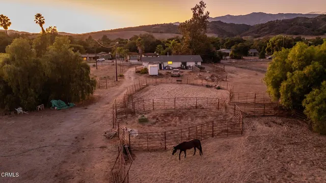 a view of a backyard