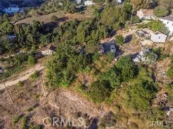 4102 Telluride Street Los Angeles, CA 90031 - Photo 3 of 3 a view of a forest with a tree