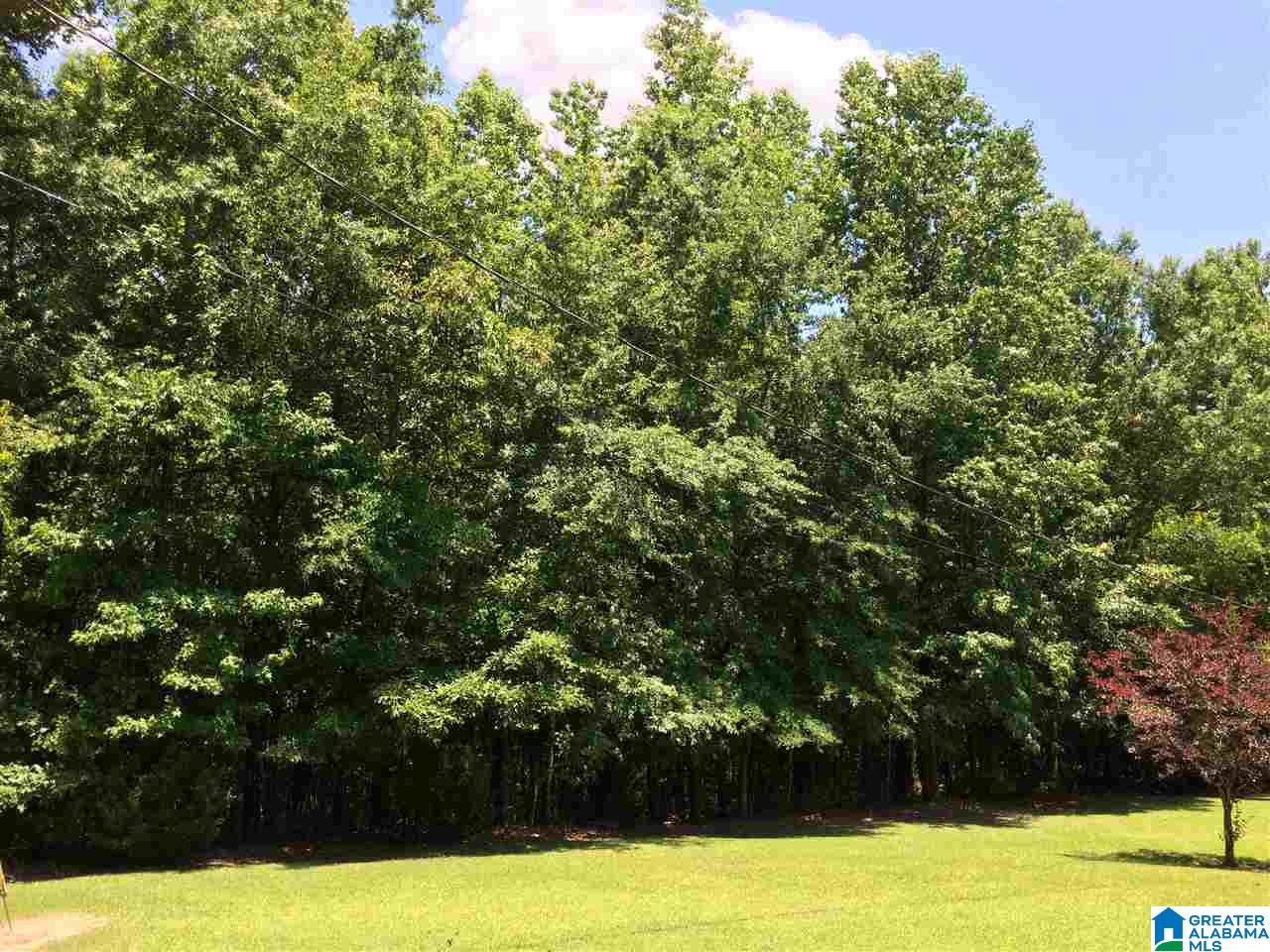 3901 Dean Road, Unit 5 ACRES Pinson, AL 35126 - Photo 16 of 25