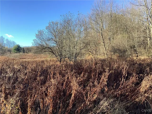 $65,000 | 0 Blue, Barneveld, NY 13304