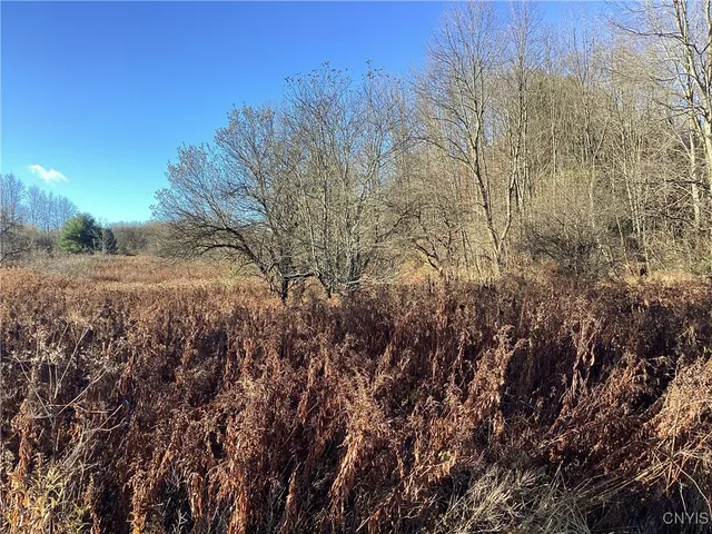 $65,000 | 0 Blue, Barneveld, NY 13304