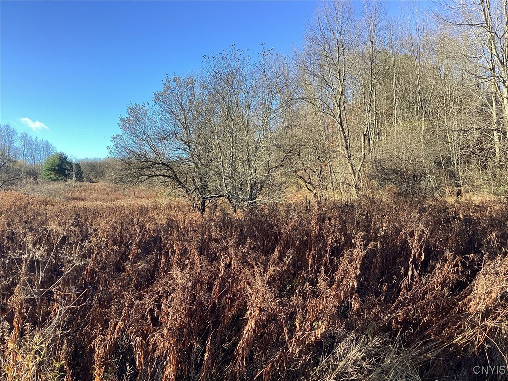 0 Blue Barneveld, NY 13304 - Photo 2 of 10