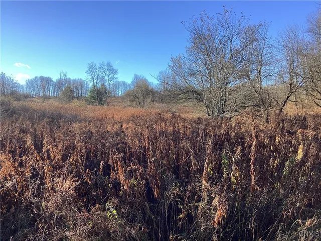 $65,000 | 0 Blue, Barneveld, NY 13304