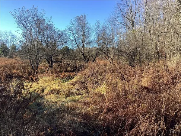$65,000 | 0 Blue, Barneveld, NY 13304