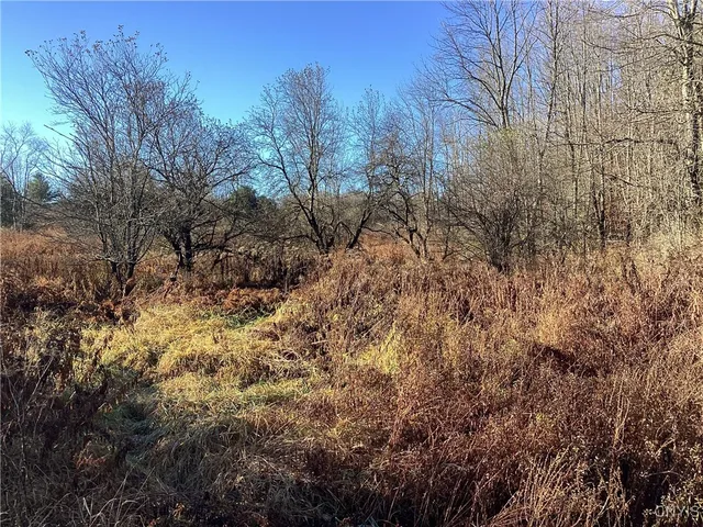 $65,000 | 0 Blue, Barneveld, NY 13304