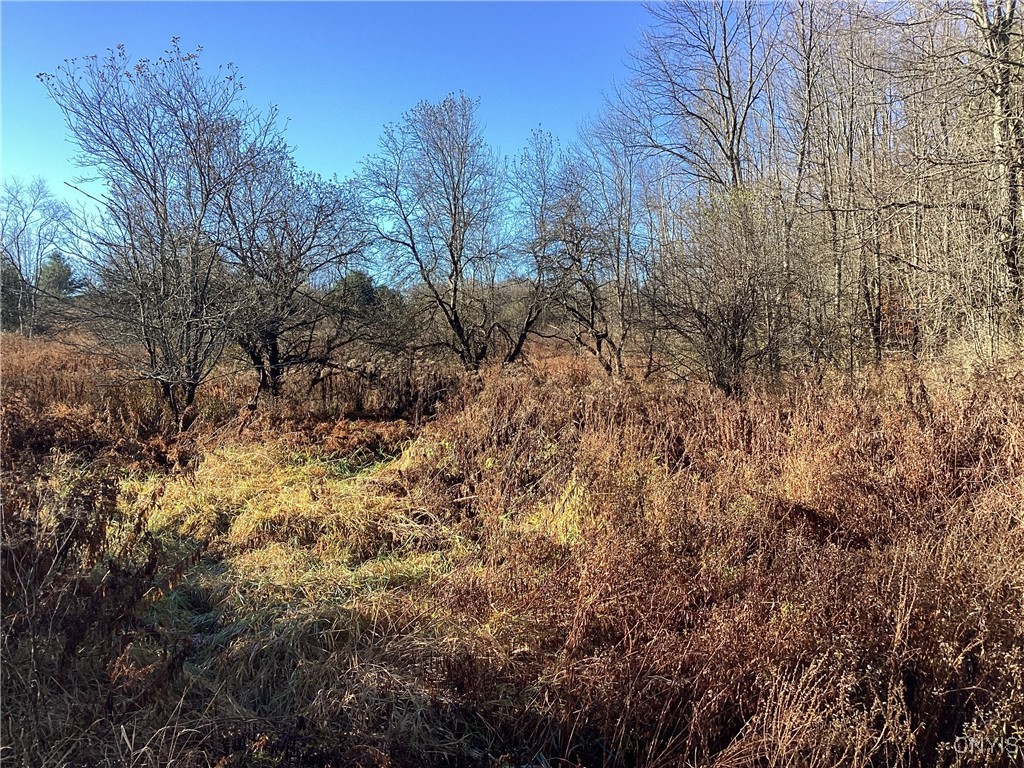 0 Blue Barneveld, NY 13304 - Photo 5 of 10