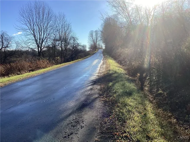 $65,000 | 0 Blue, Barneveld, NY 13304