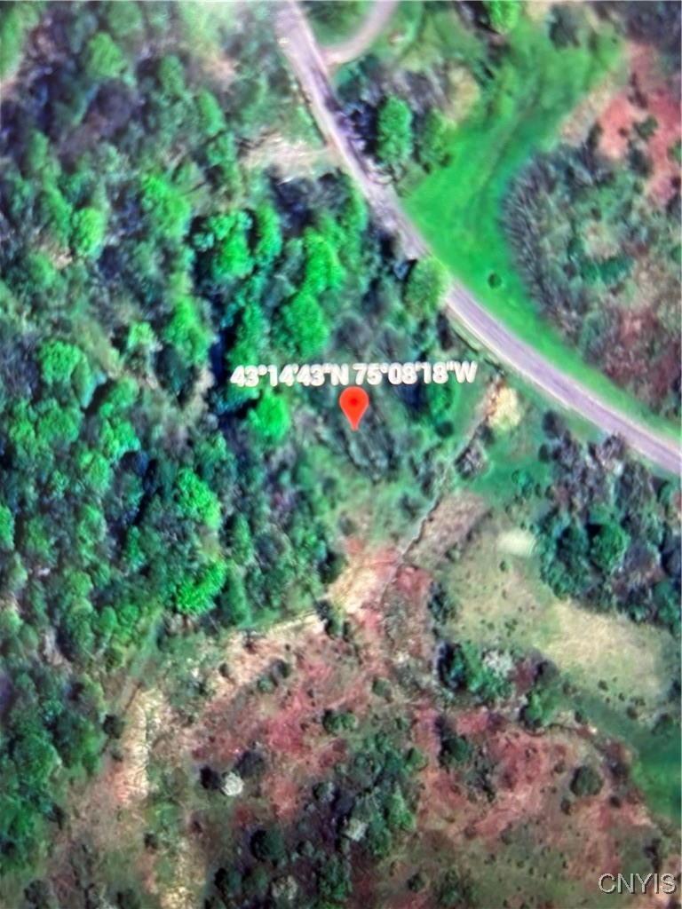 0 Blue Barneveld, NY 13304 - Photo 10 of 10