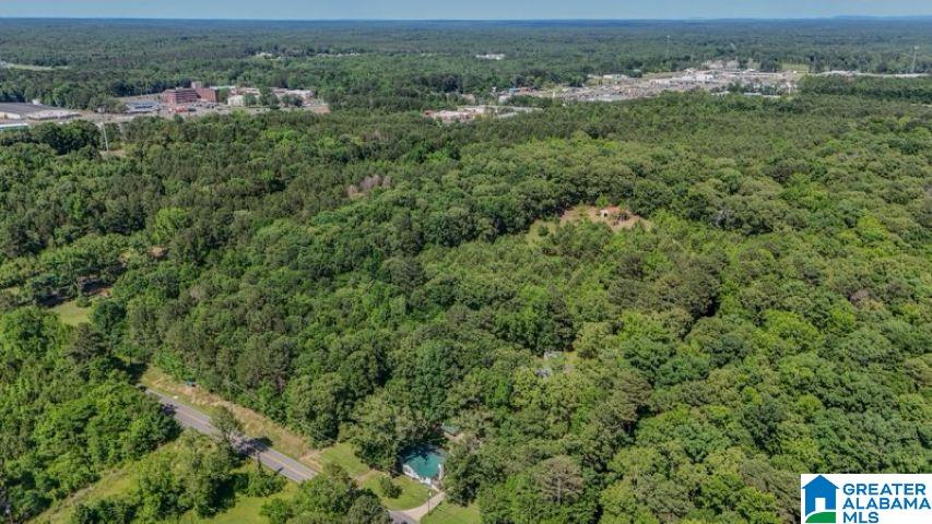 0 Jones Dairy Road Jasper, AL 35501 - Photo 7 of 14