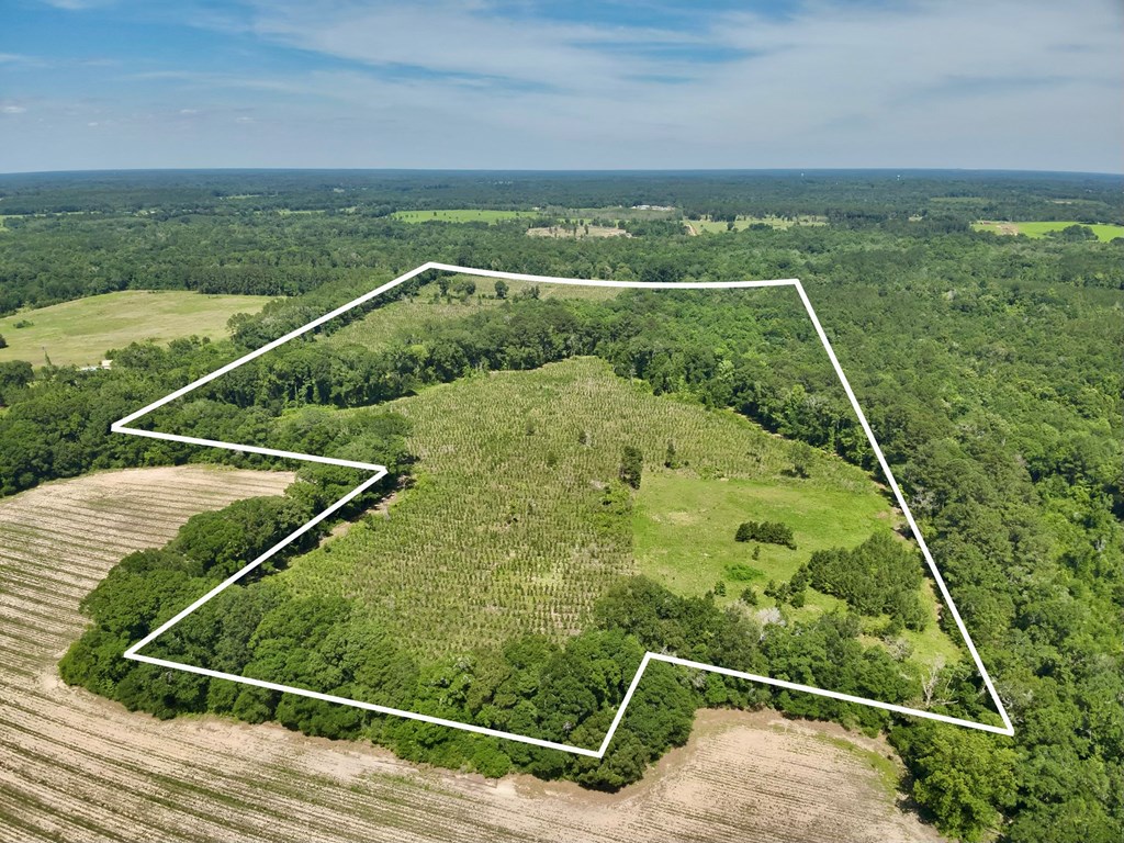 60-acres Hutton Road Hartford, AL 36344 - Photo 30 of 31