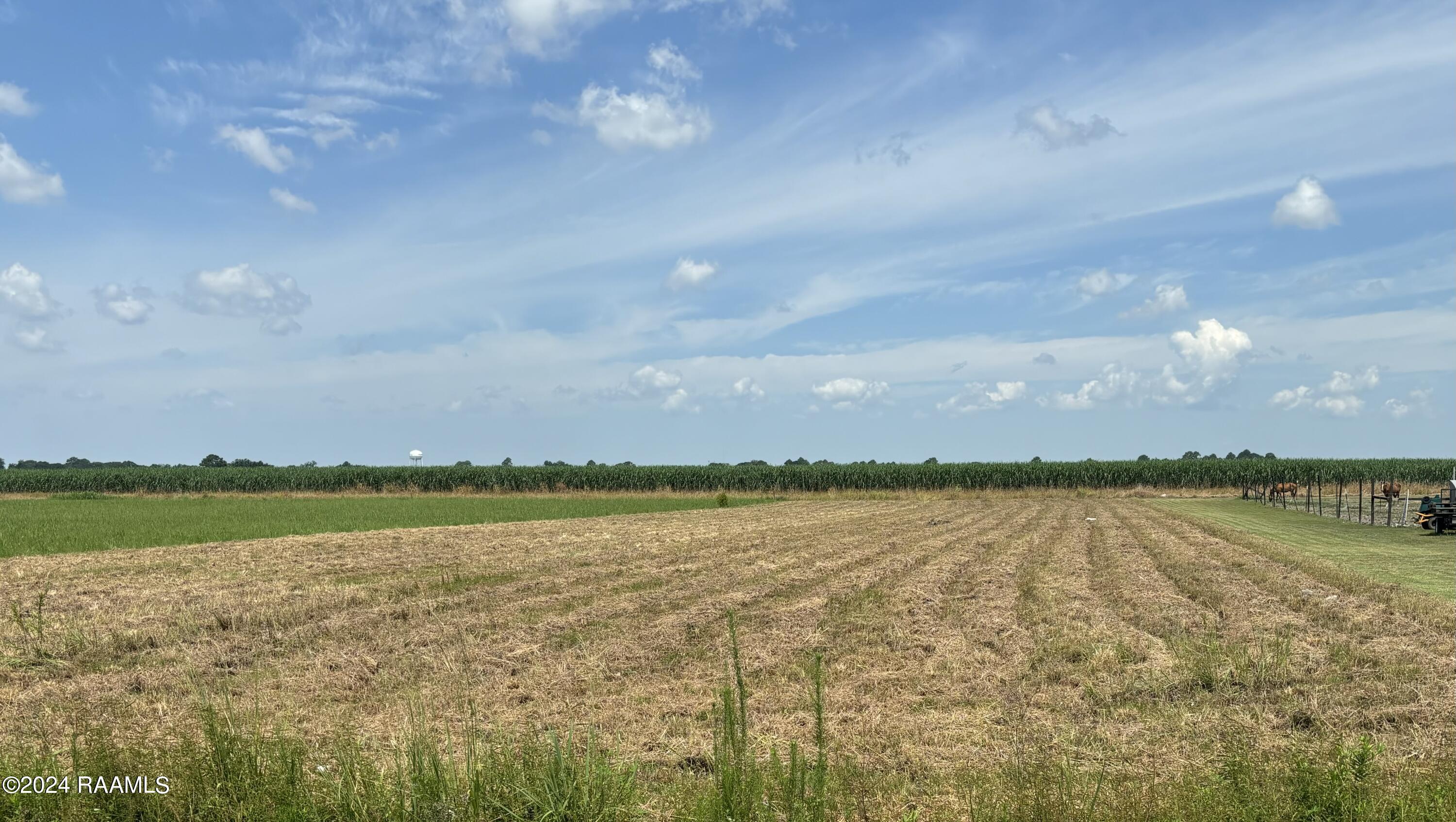 Clifton Angelle Road Breaux Bridge, LA 70517 - Photo 1 of 4 Image 1