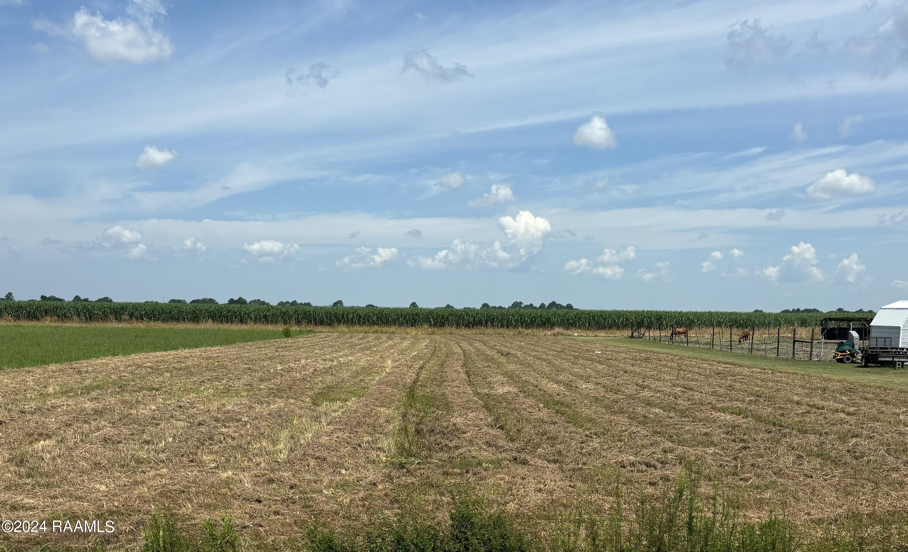 Clifton Angelle Road Breaux Bridge, LA 70517 - Photo 2 of 4 Image 2