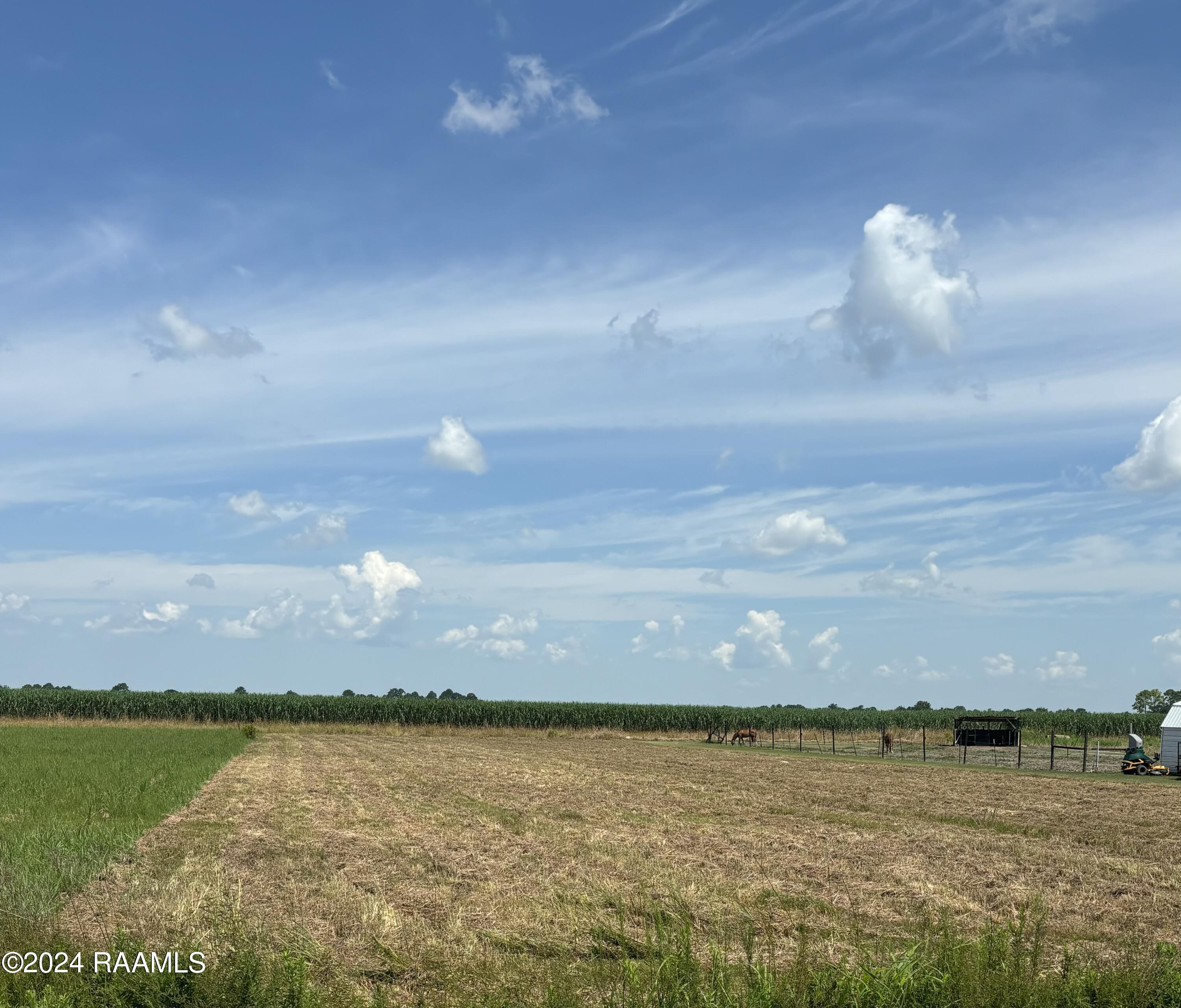 Clifton Angelle Road Breaux Bridge, LA 70517 - Photo 3 of 4 Image 4