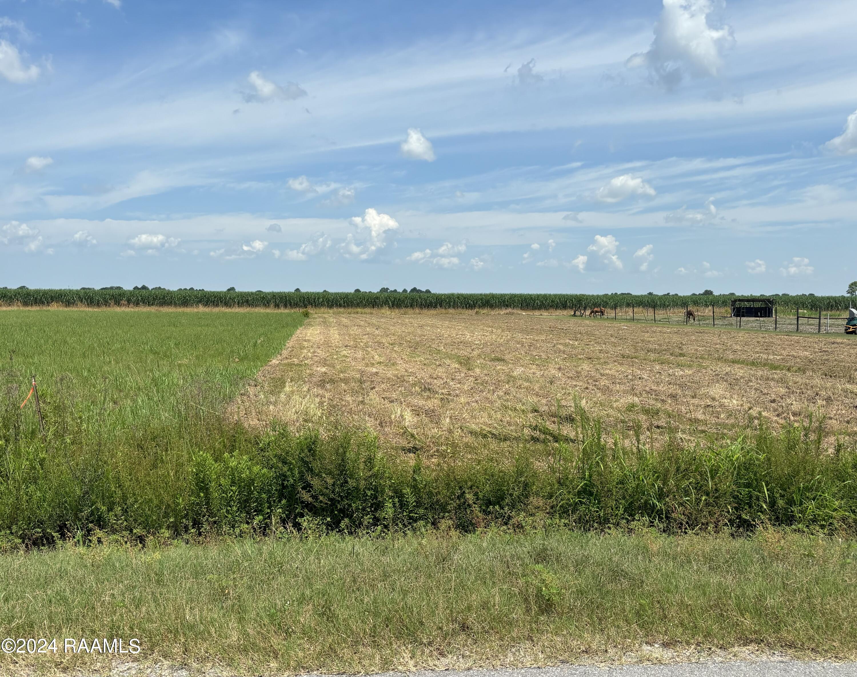 Clifton Angelle Road Breaux Bridge, LA 70517 - Photo 4 of 4 Image 5