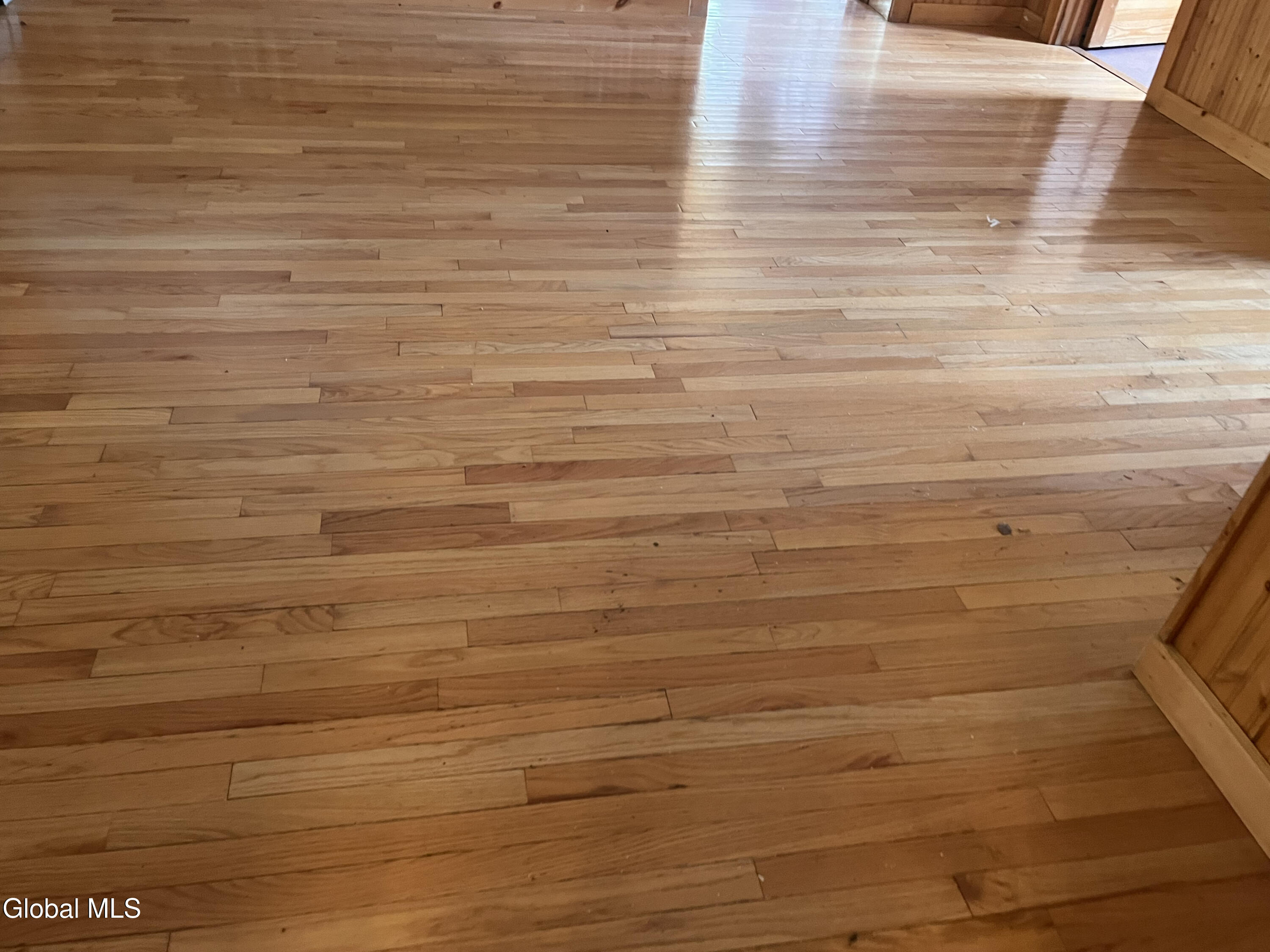 100 Fish Hollow Road Chester, NY 12853 - Photo 31 of 62 IMG_4965