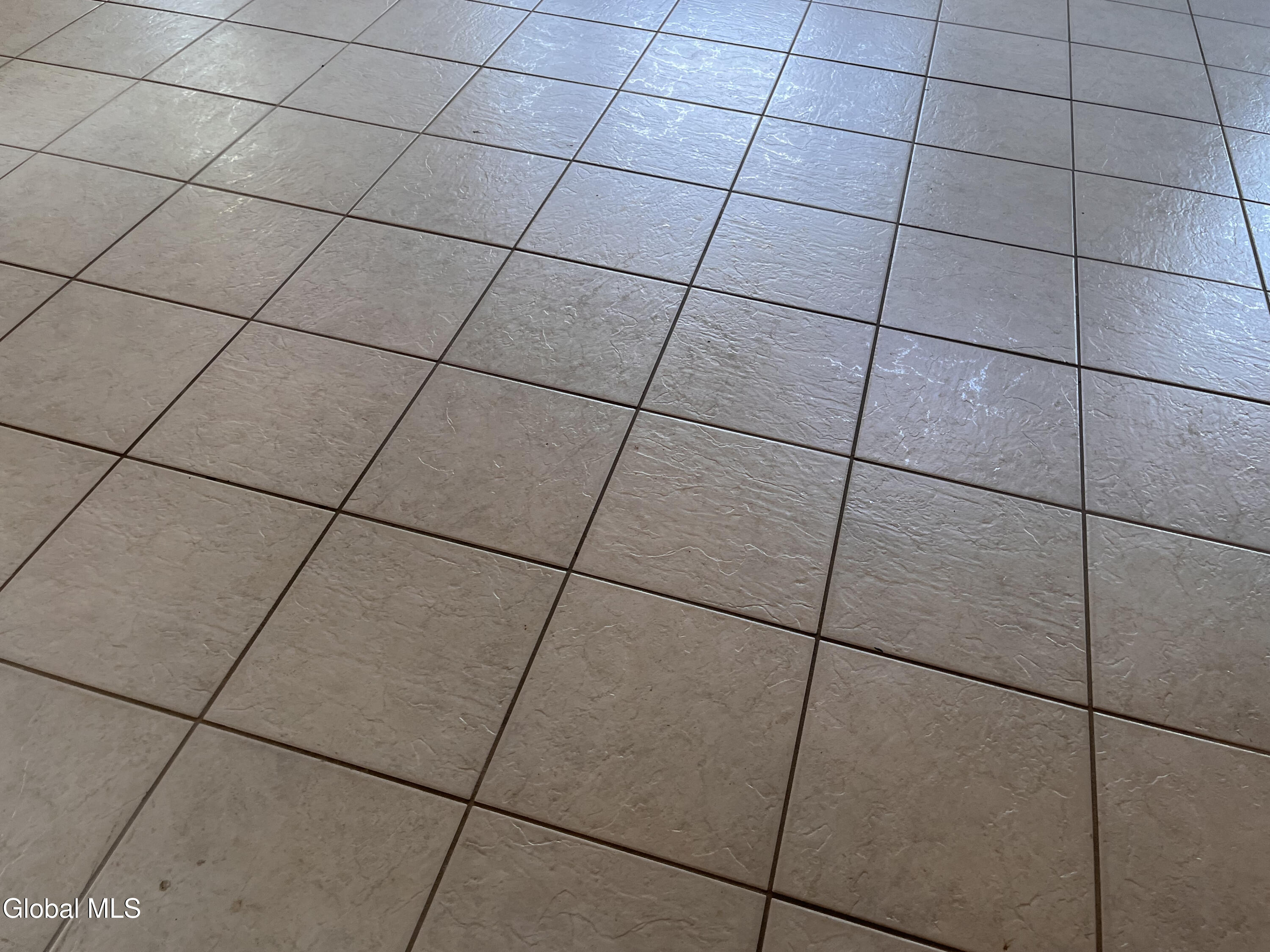 100 Fish Hollow Road Chester, NY 12853 - Photo 42 of 62 IMG_4974