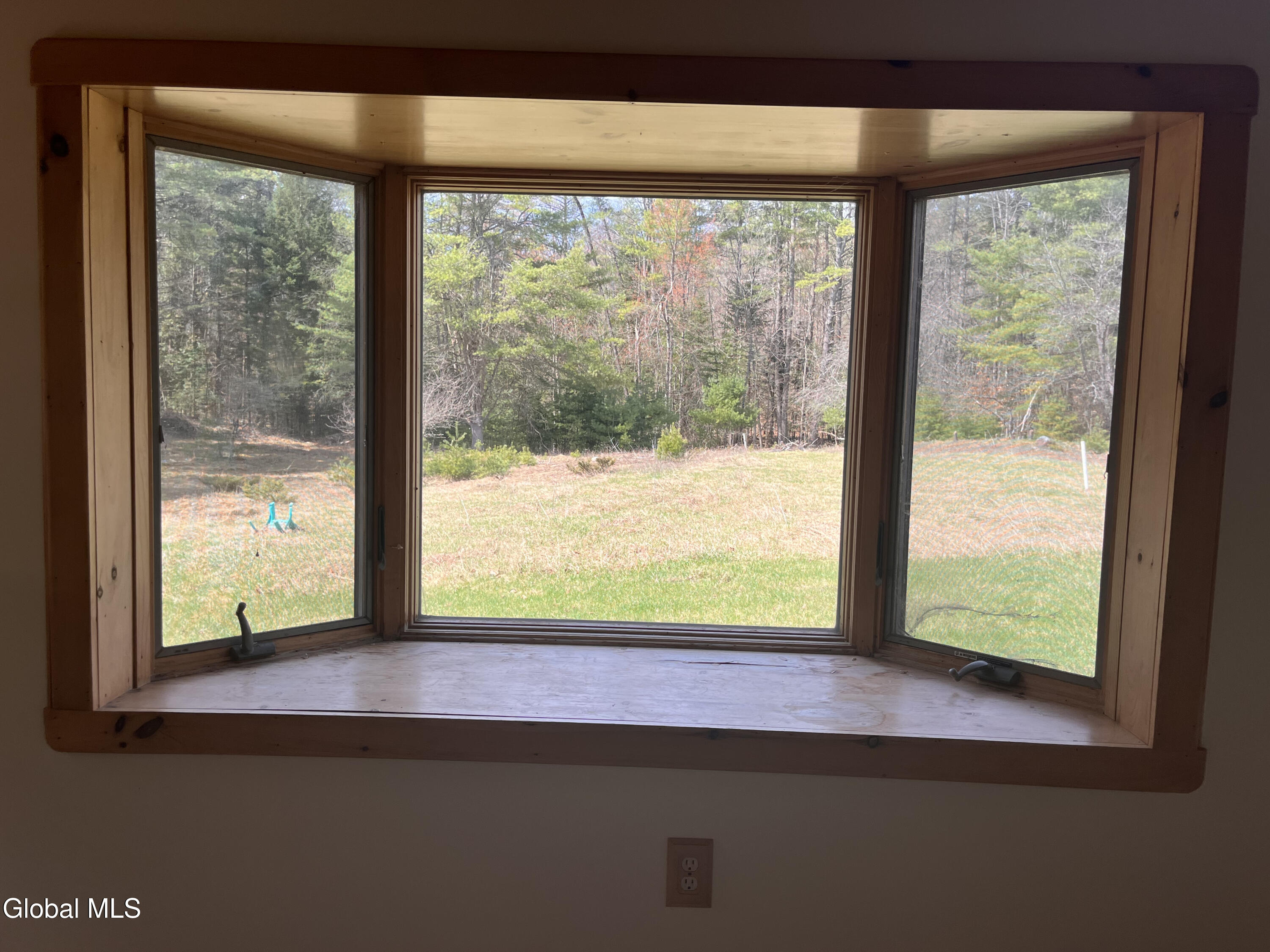 100 Fish Hollow Road Chester, NY 12853 - Photo 43 of 62 IMG_4978