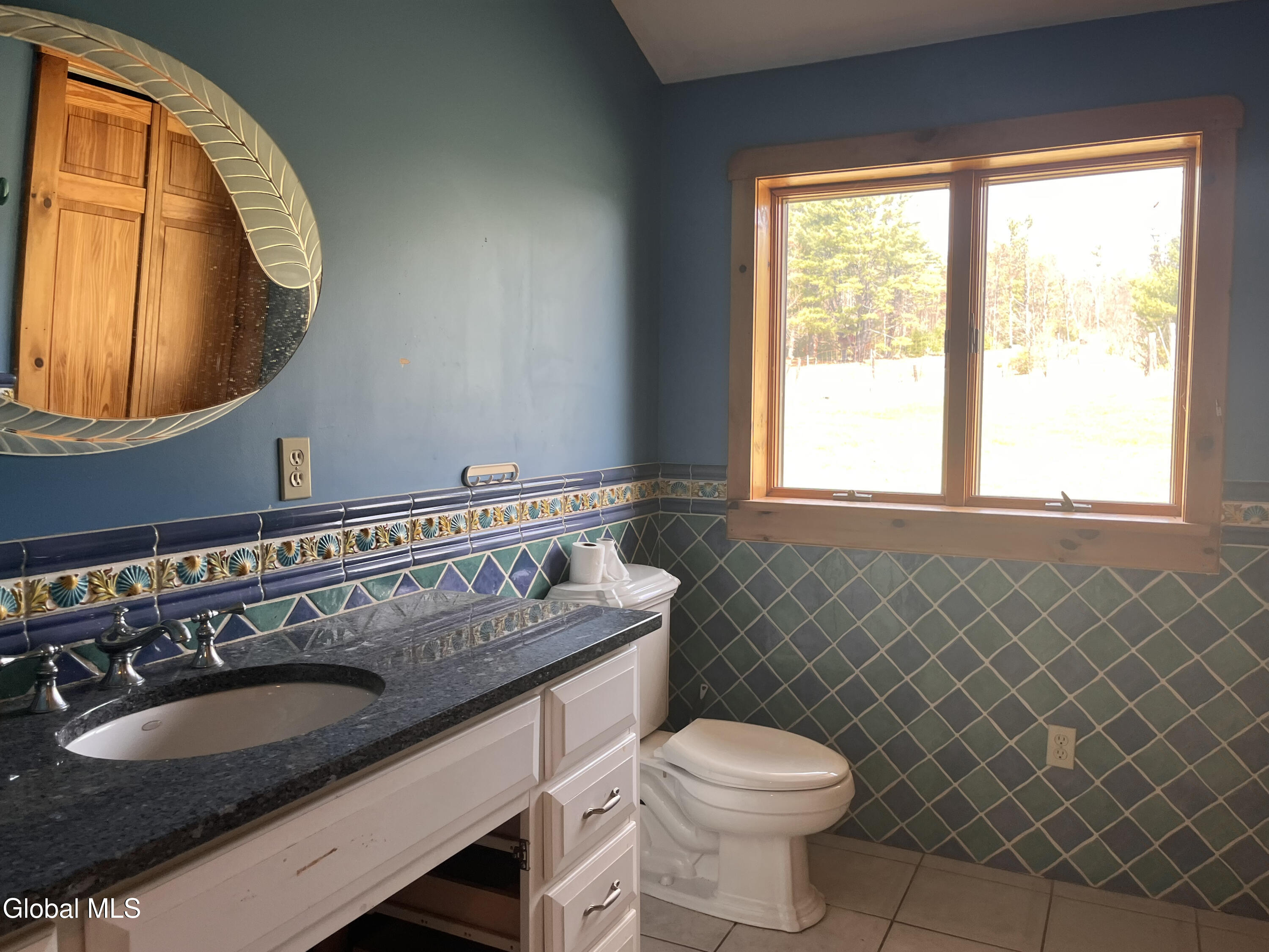 100 Fish Hollow Road Chester, NY 12853 - Photo 48 of 62 IMG_4983