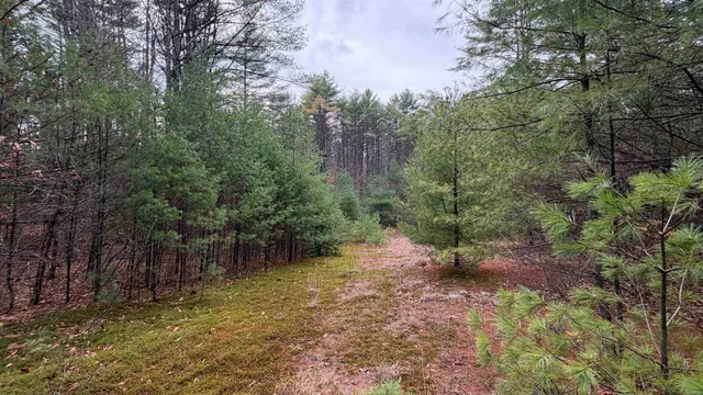$289,900 | 0 Deer Meadow Road, Webster, NH 03303