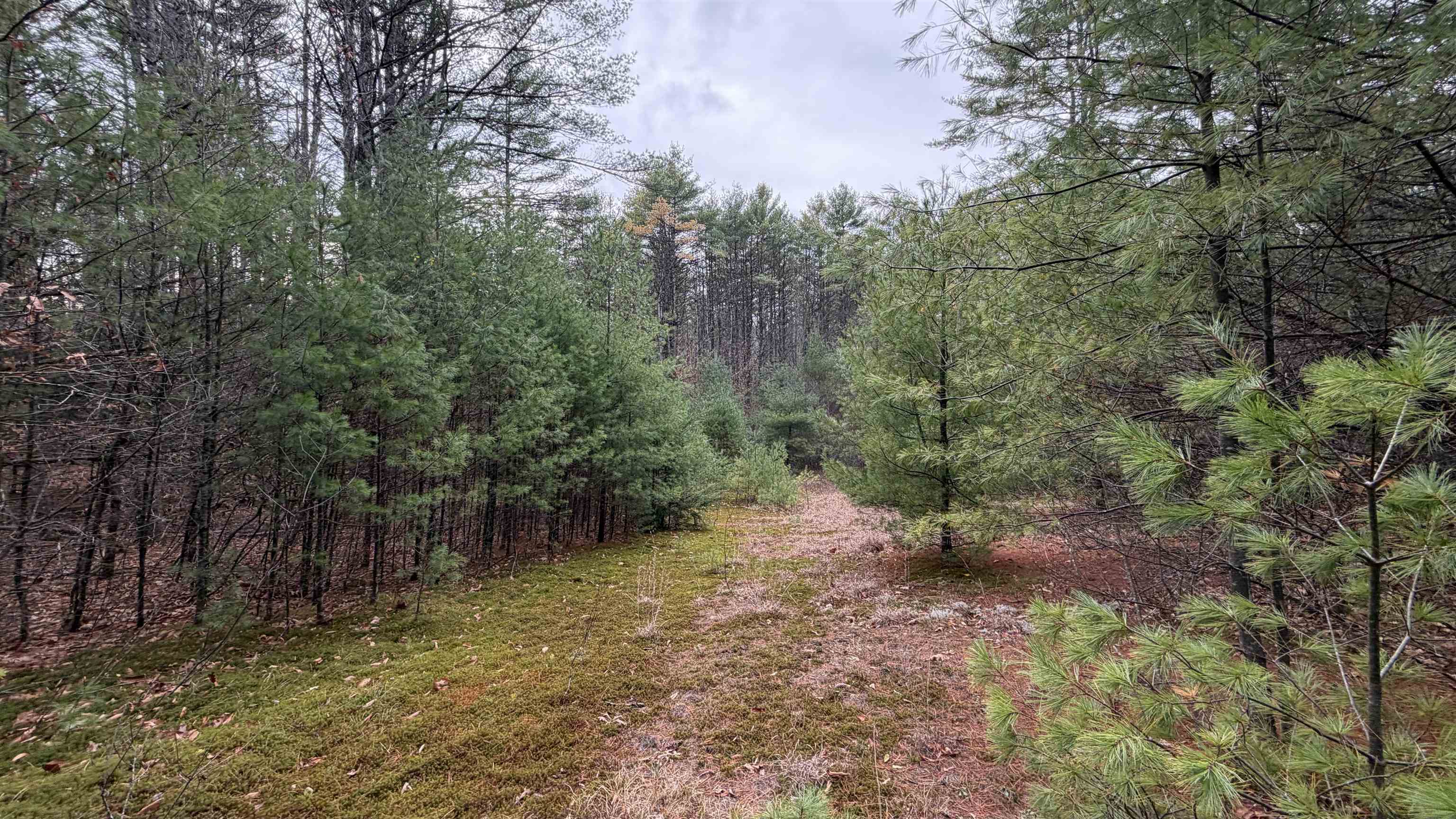 0 Deer Meadow Road Webster, NH 03303 - Photo 4 of 5