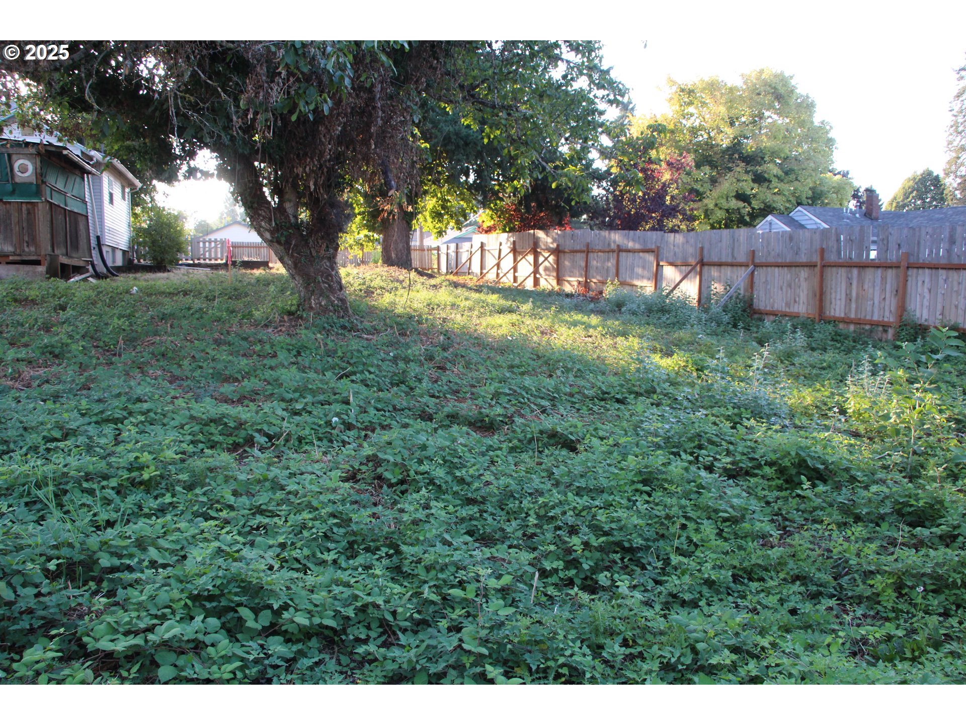 Southeast 87th Avenue Portland, OR 97266 - Photo 13 of 17 a view of house with a yard