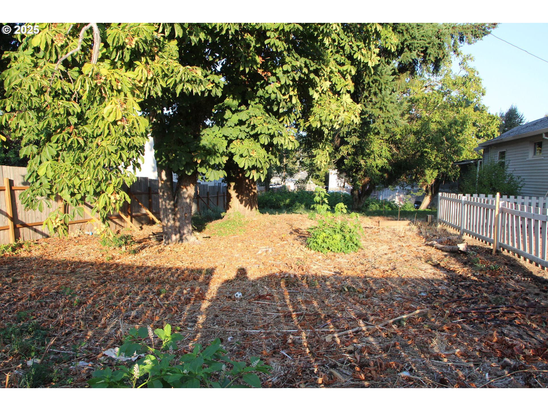 Southeast 87th Avenue Portland, OR 97266 - Photo 16 of 17 a view of a yard with plants and tree