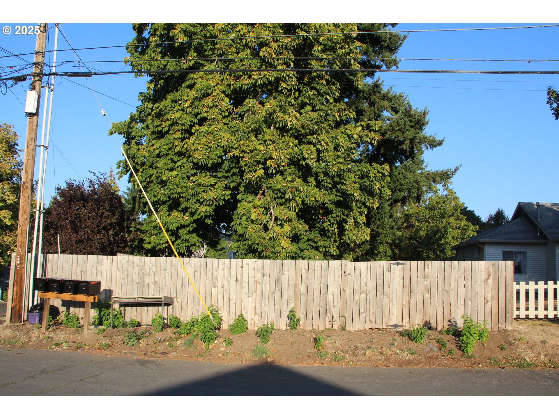 Southeast 87th Avenue Portland, OR 97266 - Photo 4 of 17 a view of outdoor space and yard