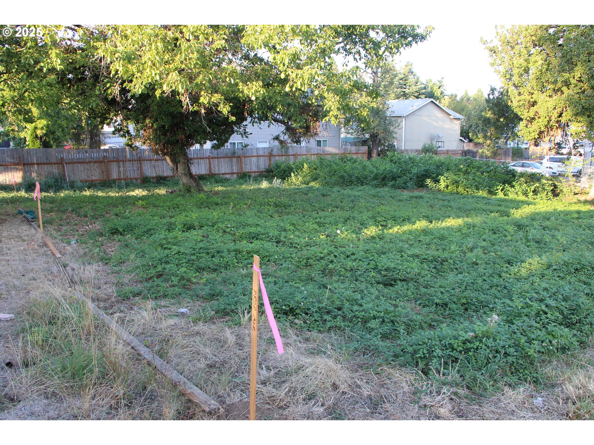 Southeast 87th Avenue Portland, OR 97266 - Photo 5 of 17 a backyard of a house with lots of green space