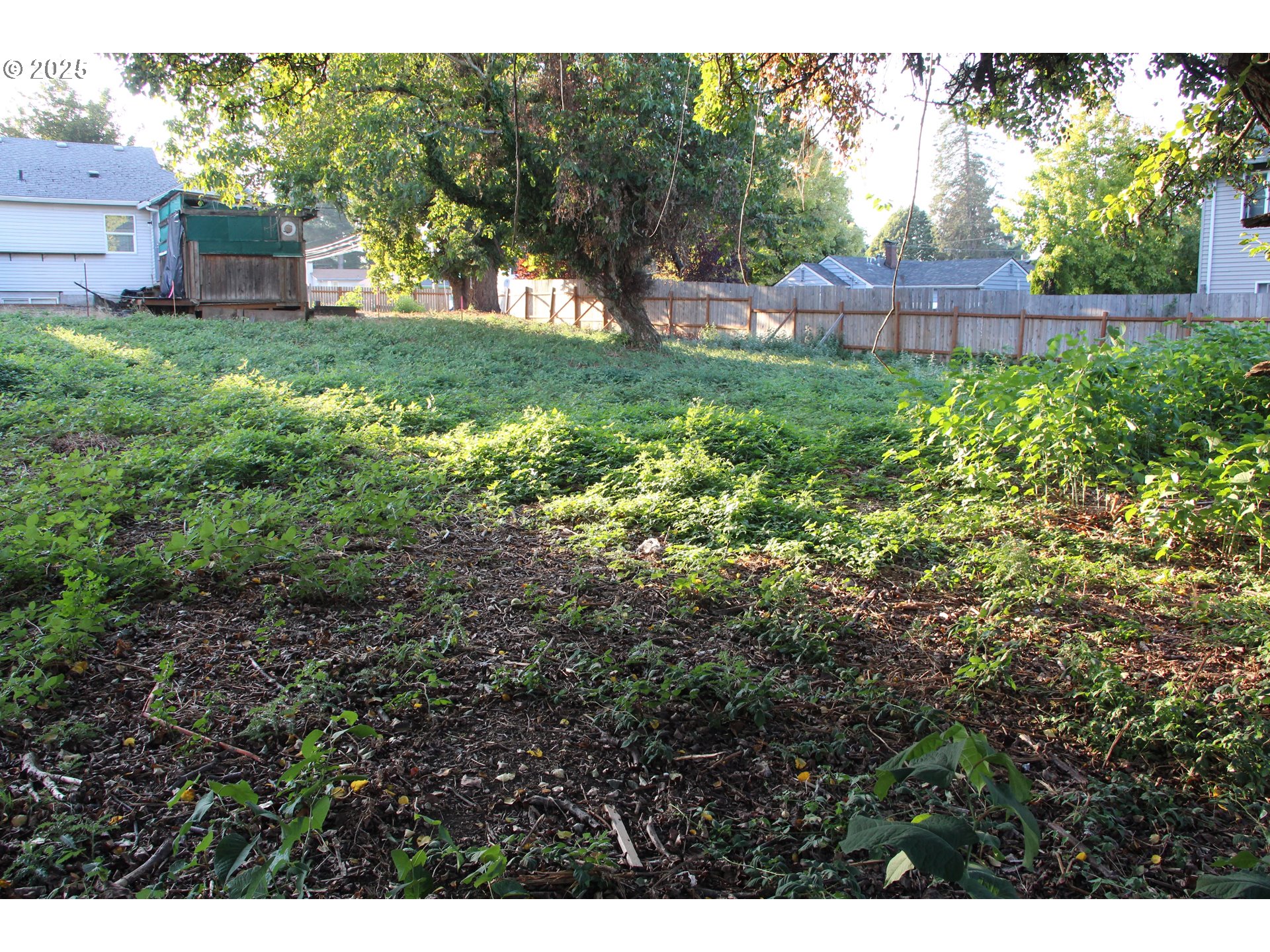 Southeast 87th Avenue Portland, OR 97266 - Photo 6 of 17 a view of a backyard with a garden