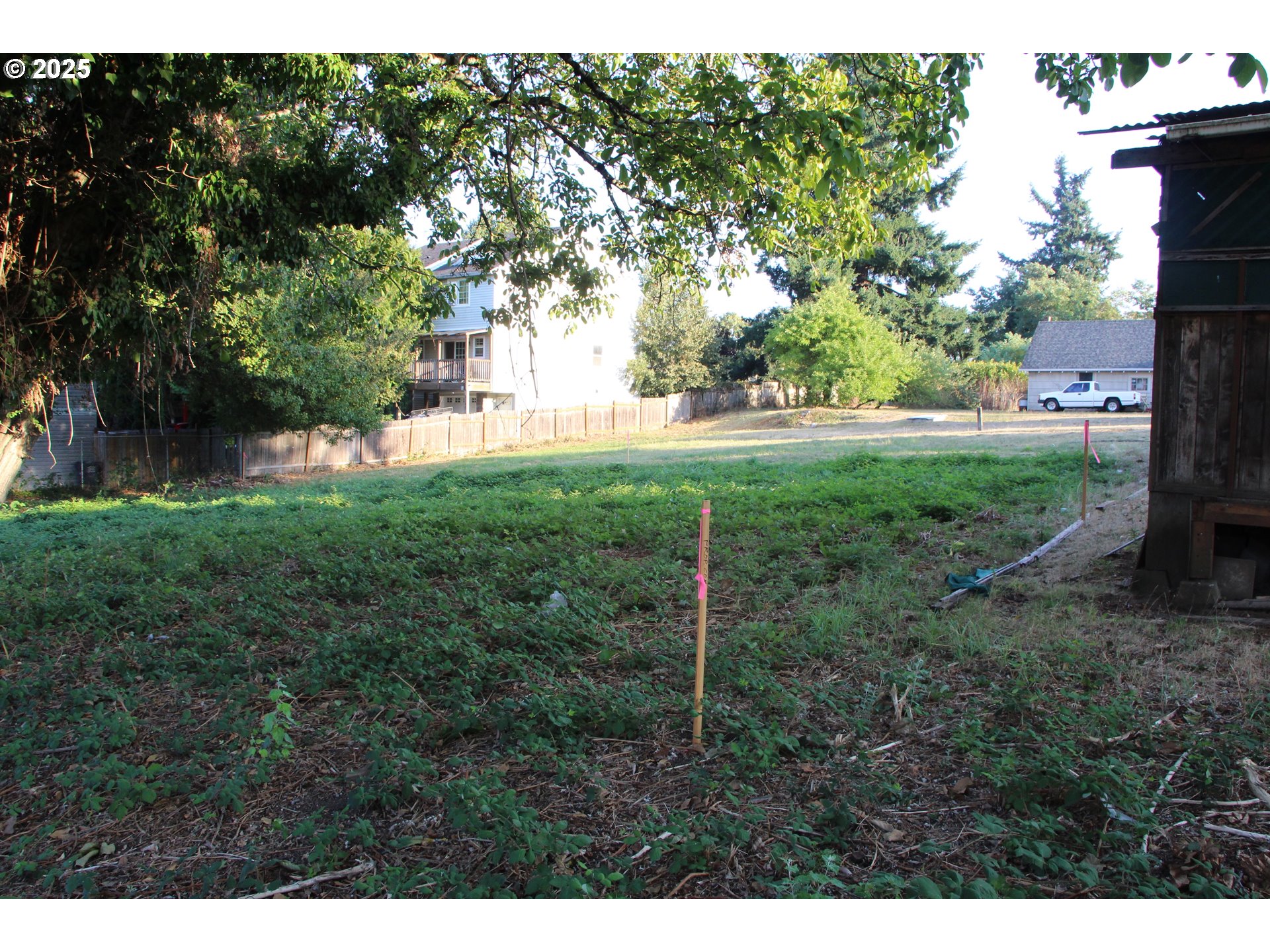 Southeast 87th Avenue Portland, OR 97266 - Photo 7 of 17 a view of backyard with green space
