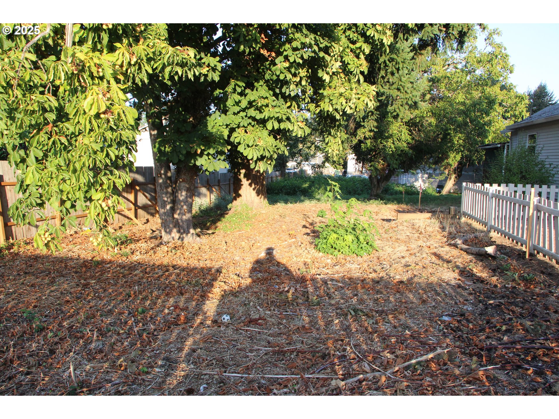 Southeast 87th Avenue Portland, OR 97266 - Photo 8 of 17 a view of a backyard of the house