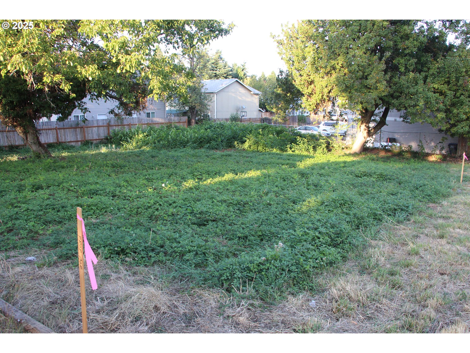 Southeast 87th Avenue Portland, OR 97266 - Photo 9 of 17 a backyard of a house with lots of green space